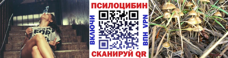 Галлюциногенные грибы ЛСД  это Telegram  Касли 
