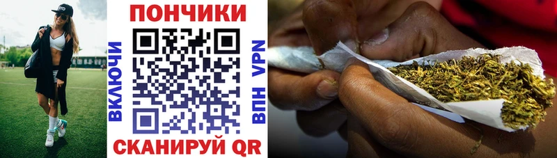 omg tor  как найти закладки  Касли  Бошки Шишки ГИДРОПОН 